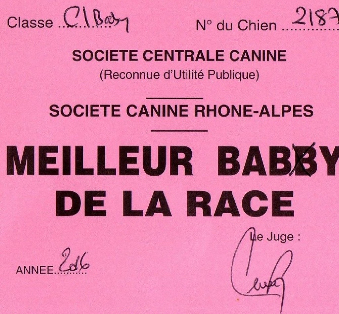 de La Valoubiere - CACIB 24.04.16 Lyon / Spéciale de race 