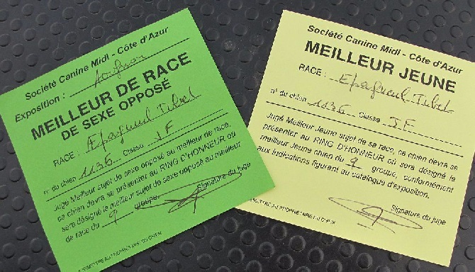 de La Valoubiere - CACS 25.09.16 Avignon / Spéciale de race