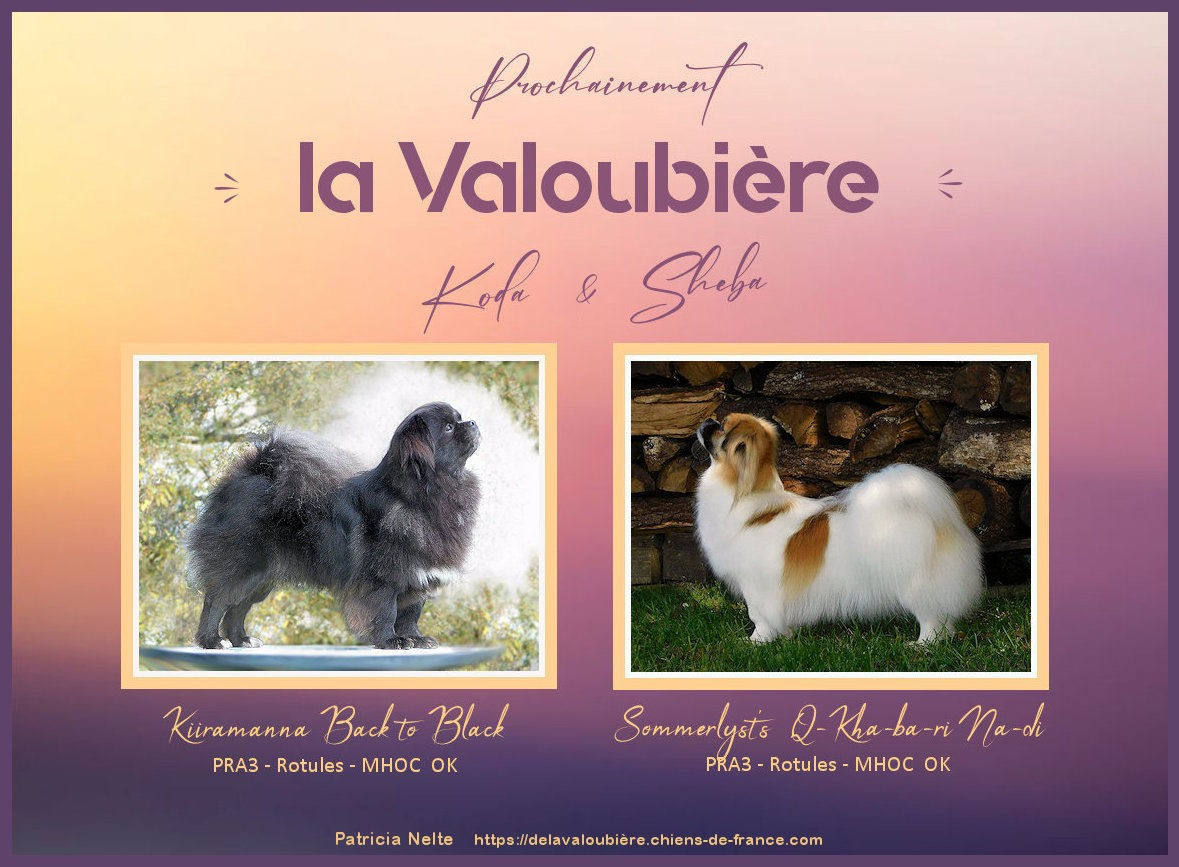 de La Valoubiere - Des petitous en préparation !